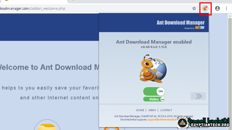 برنامج Ant Download Manager Pro