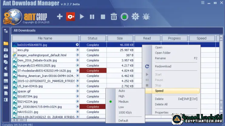 برنامج Ant Download Manager Pro