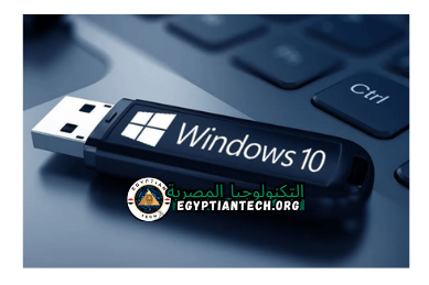 صورة مقربة لروفوس، وهو كلب ودود ذو فراء لامع وعينين لامعتين، وهو يجلس باهتمام في حديقة مشمسة