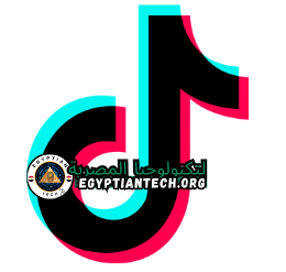 برنامج TikTok Downloader Portable