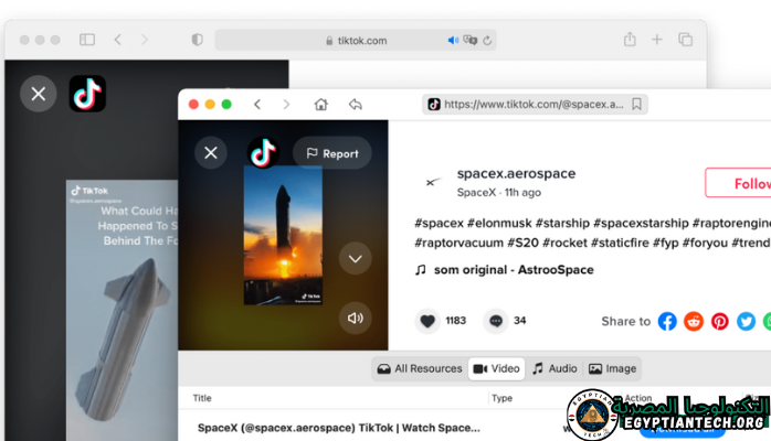 برنامج TikTok Downloader Portable