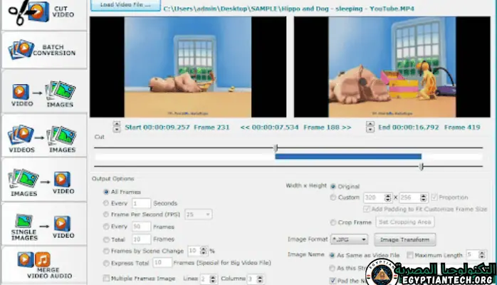 برنامج Video Image Master Pro