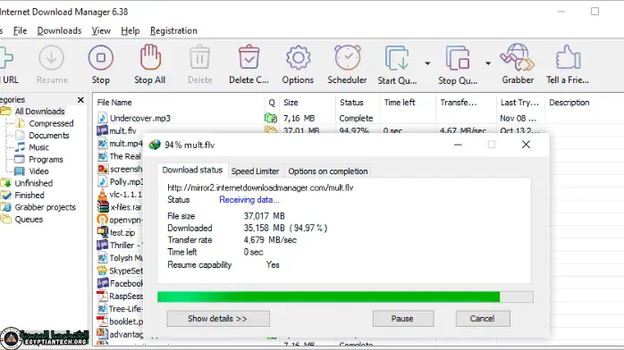 تحميل برنامج داونلود مانجر مجانا بدون تسجيل مدى الحياة