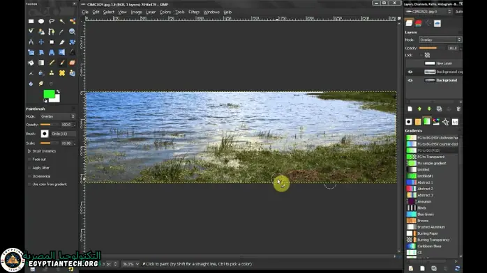 تحميل برنامج Gimp للكمبيوتر بالعربي مدى الحياة