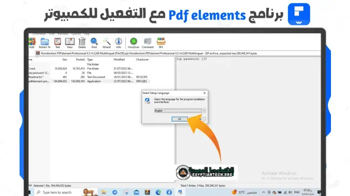 pdf element 6