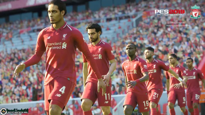 مُقيِّم تقييم احترافي لعام 2019، يعرض مقاييس الأداء ومعايير التقييم للتقييمات المهنية