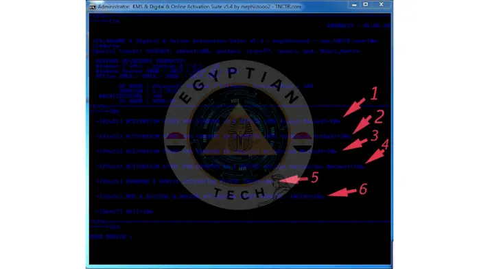 step 4 of office activated