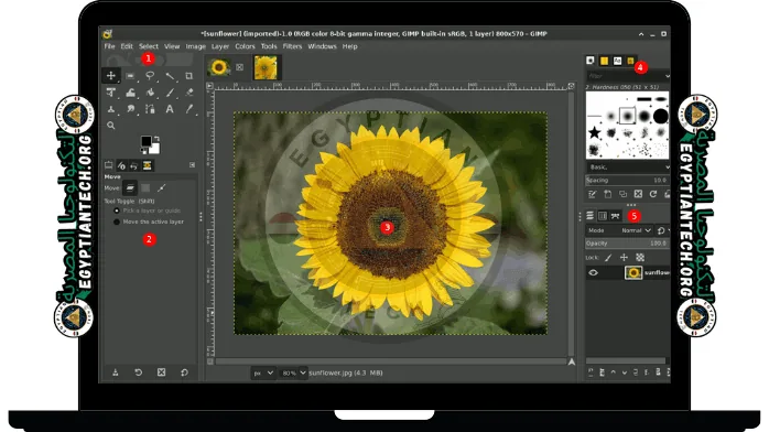 تحميل برنامج Gimp