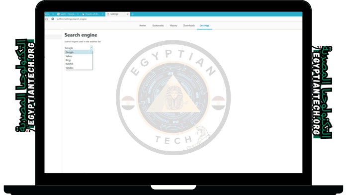 متصفح بوفين للكمبيوتر